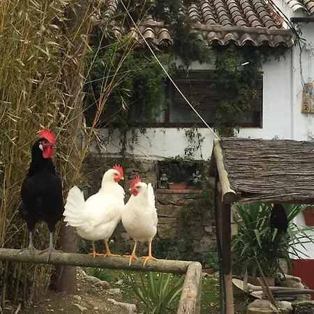 Nina Margarita Priego De Cordoba