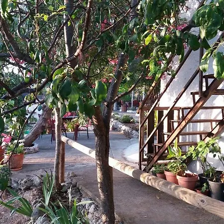 Nina Margarita Priego De Cordoba