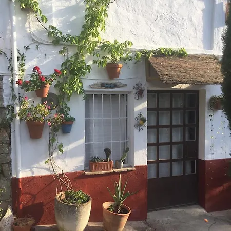 Nina Margarita Priego De Cordoba